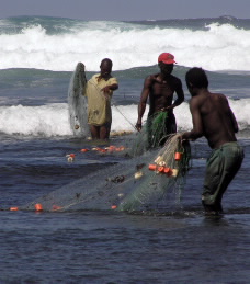 men using fish nets
