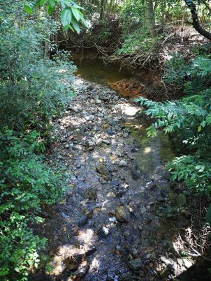 Atika Creek at the Smithfield Campus