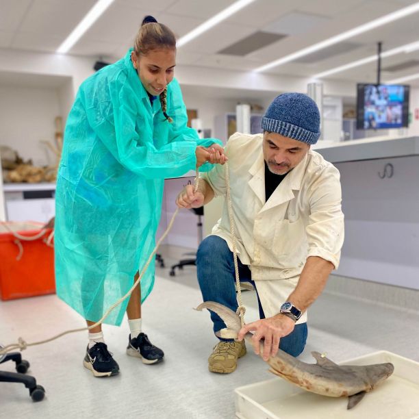 A student stands holding a rope while JCU researcher Andrew Chin kneels and assists with holding the shark specimen. 