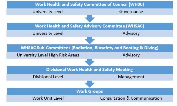 Structure of JCU Health, Safety and Environment committees and consultation