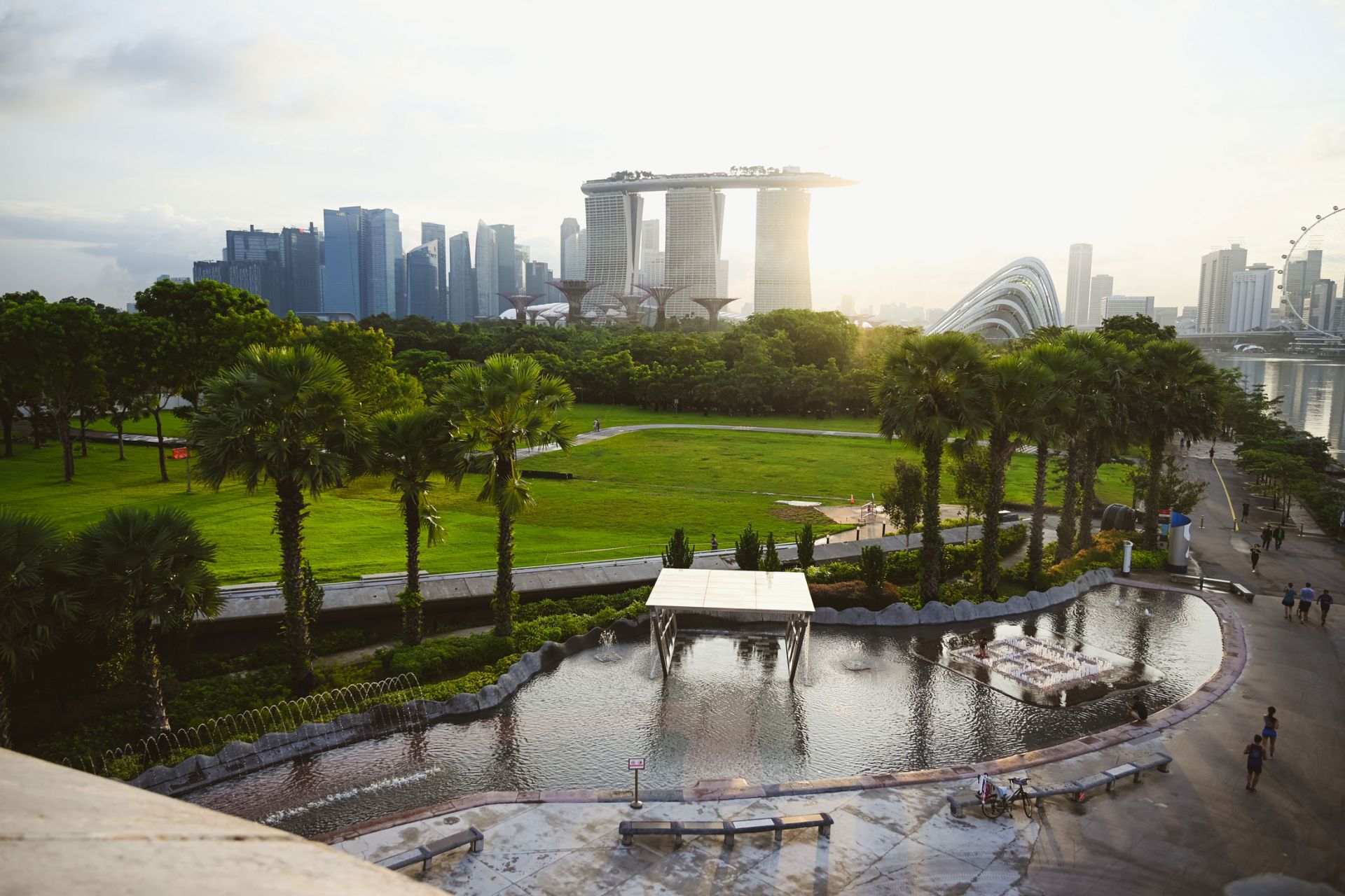 a park in Singapore, showing green grass and trees, with buildings in the background