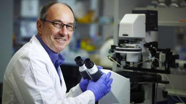Andreas Lopata, a lecturer within JCU's Bachelor of Biomedical Sciences, sits in a laboratory next to a microscope. 