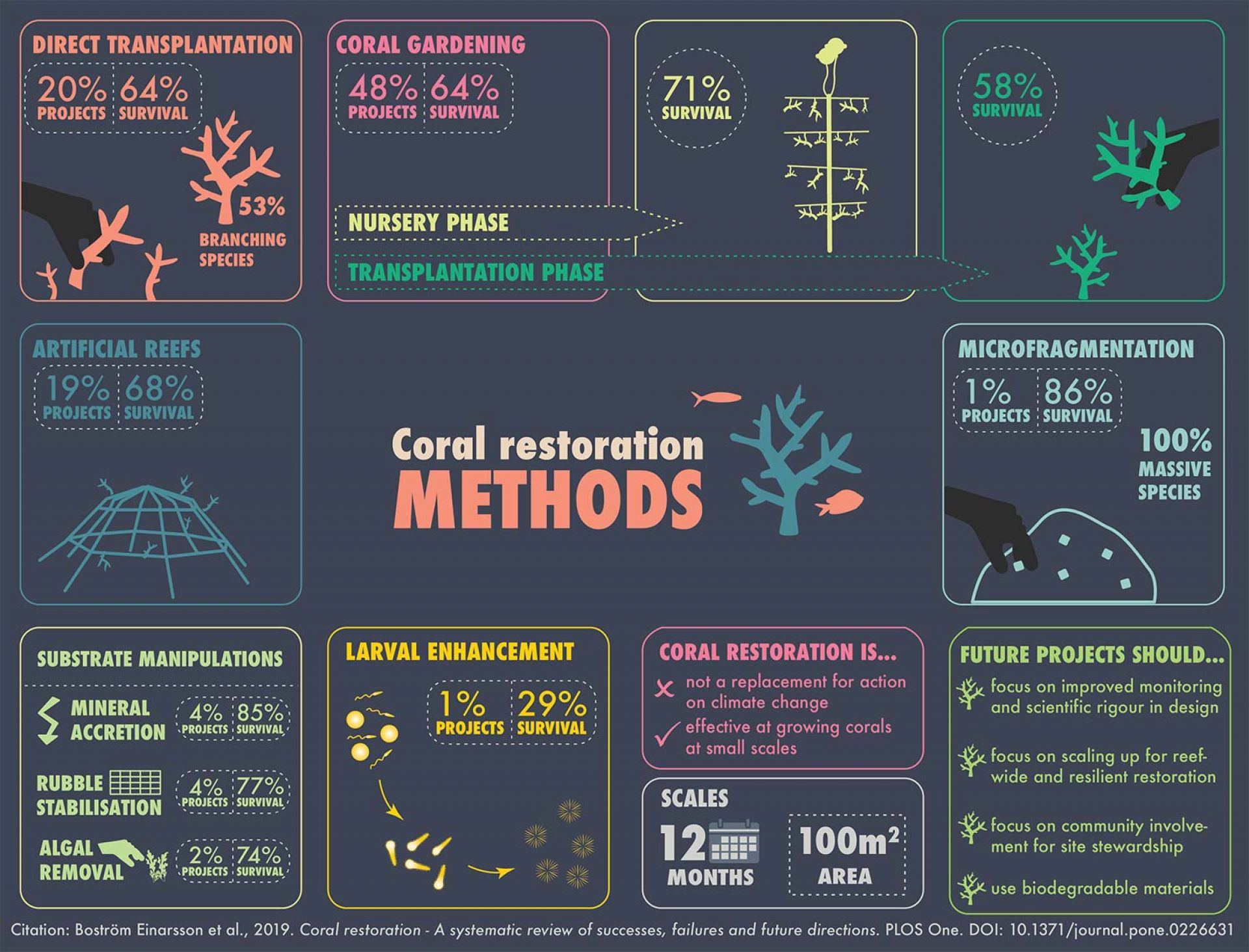 infographic describing coral reef restoration methods
