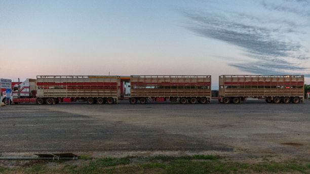 A livestock truck stopped at a fuel station. 