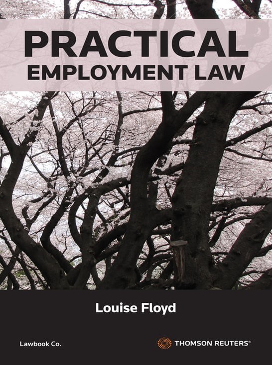 Practical employment law brochure cover. 