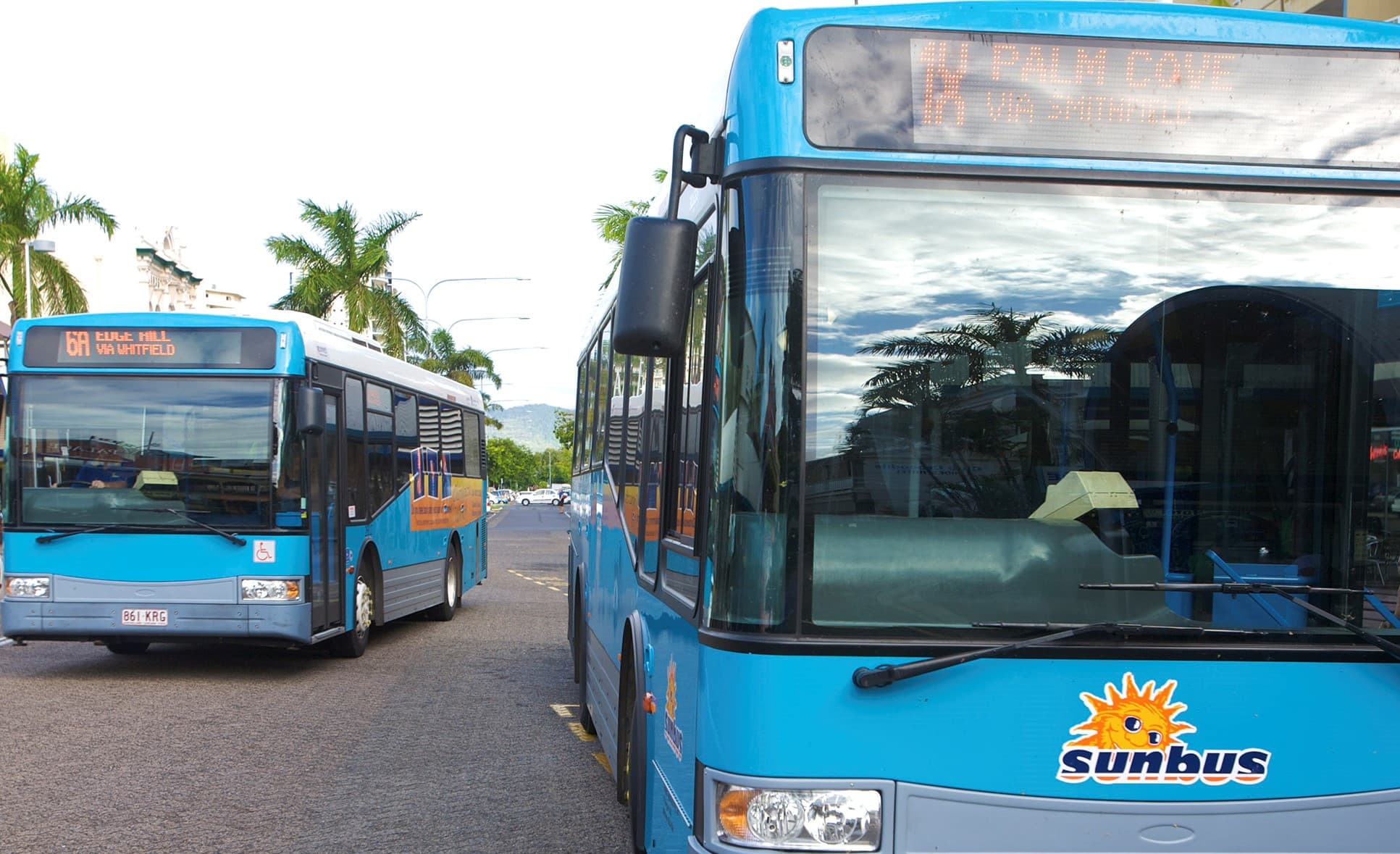 Group of Sunbusses. 