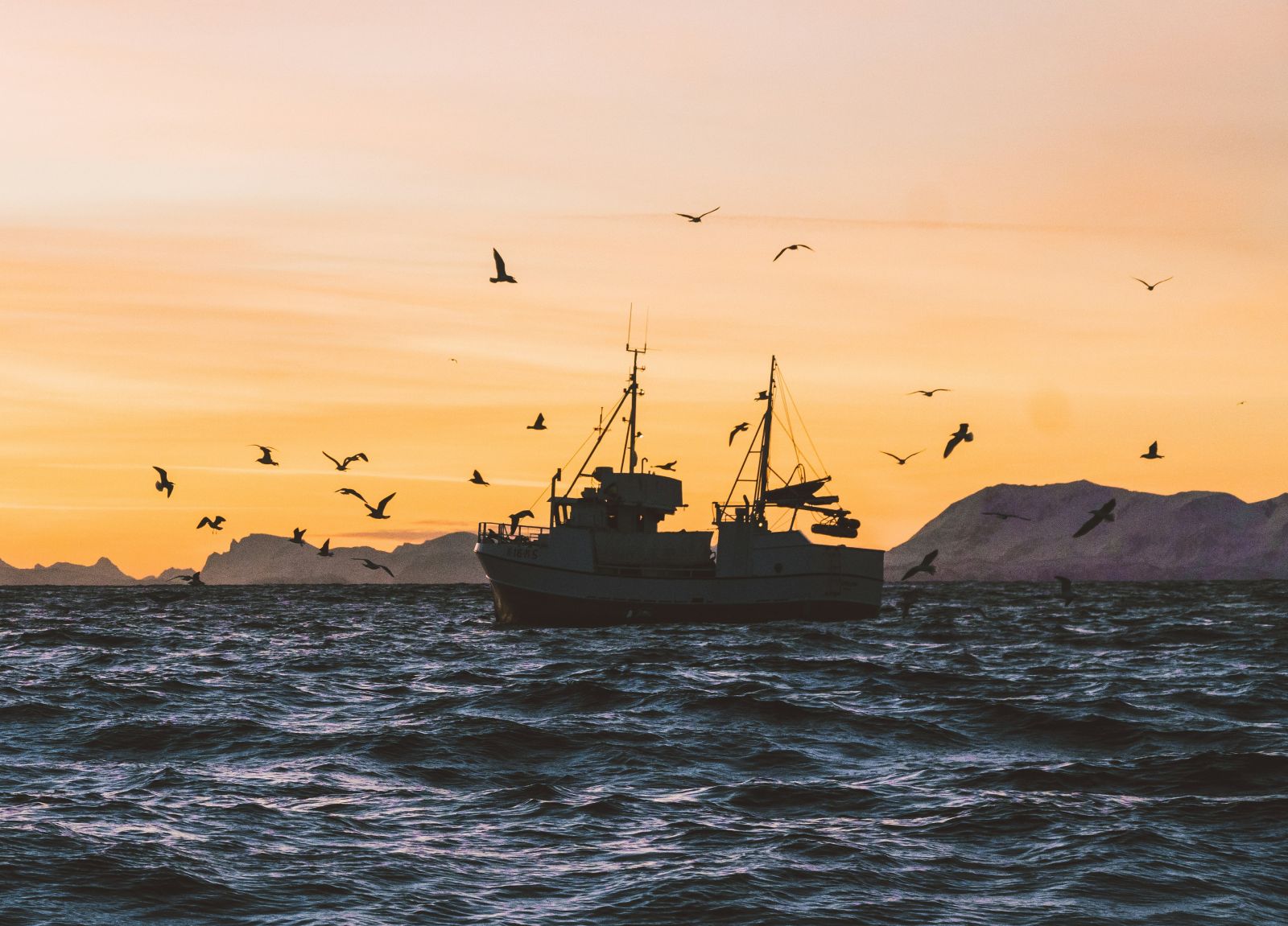 Fishing boat