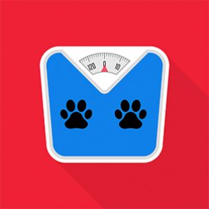 Photo of Ideal healthy weight calculator