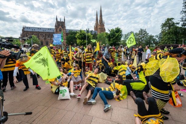 Climate change protesters dressed as bees