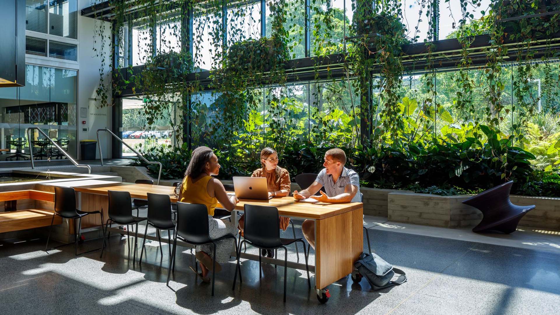 Three students study together in the Ideas Lab, with green foliage overhanging an industrial style wall behind them. 