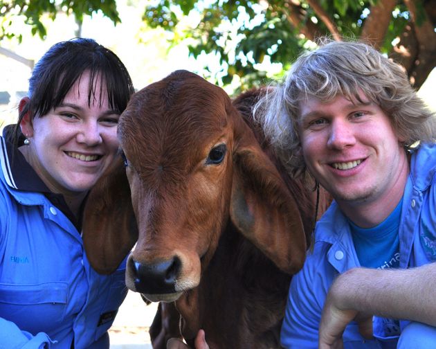 JCU Veterinary Science students can visit Fletcherview for placement. 