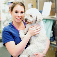 Studied Bachelor of Veterinary Science 
