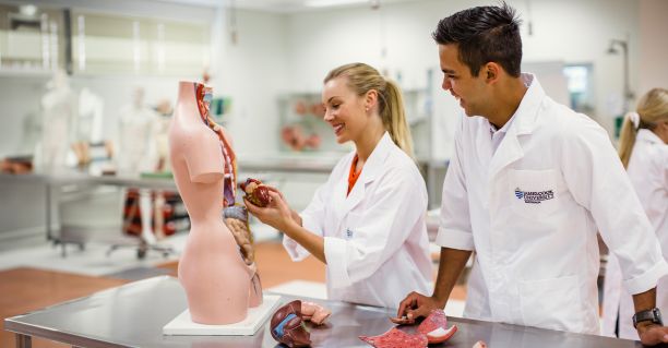 Two students looking at model