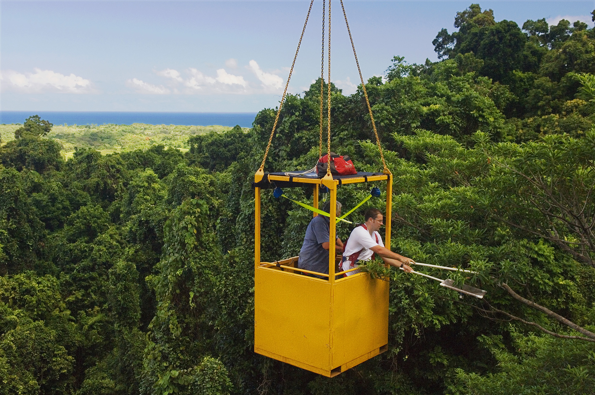Daintree Rainforest Observatory