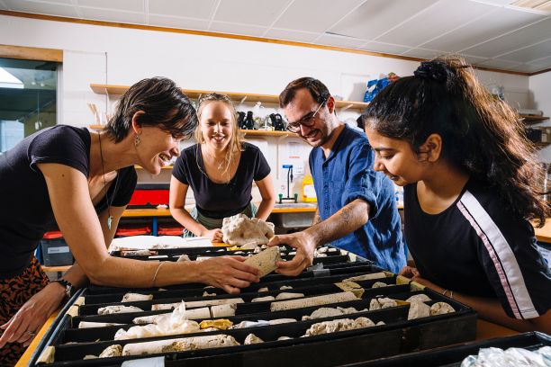 Students looking at sediment samples. 
