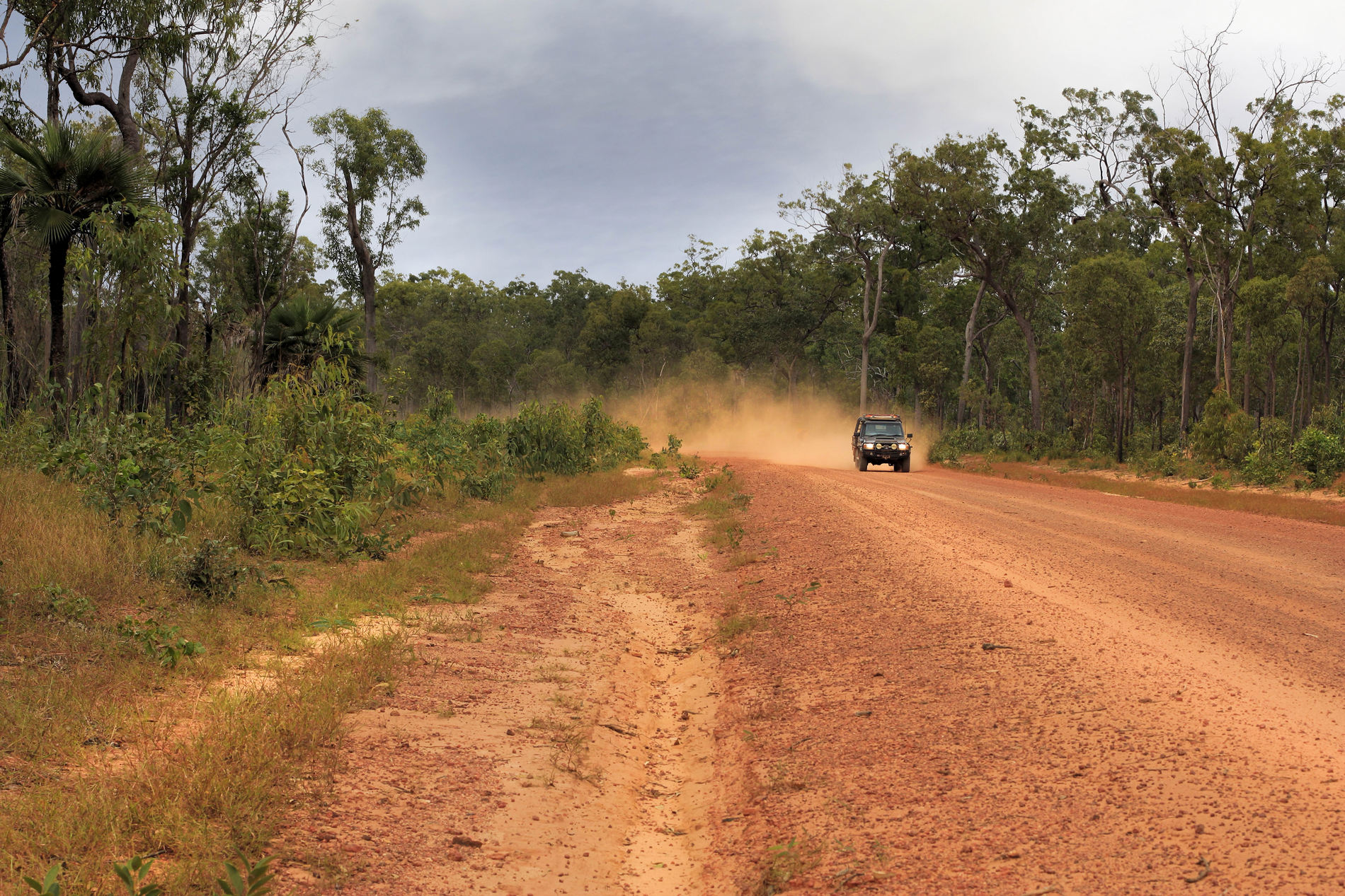 Cape York Road. 