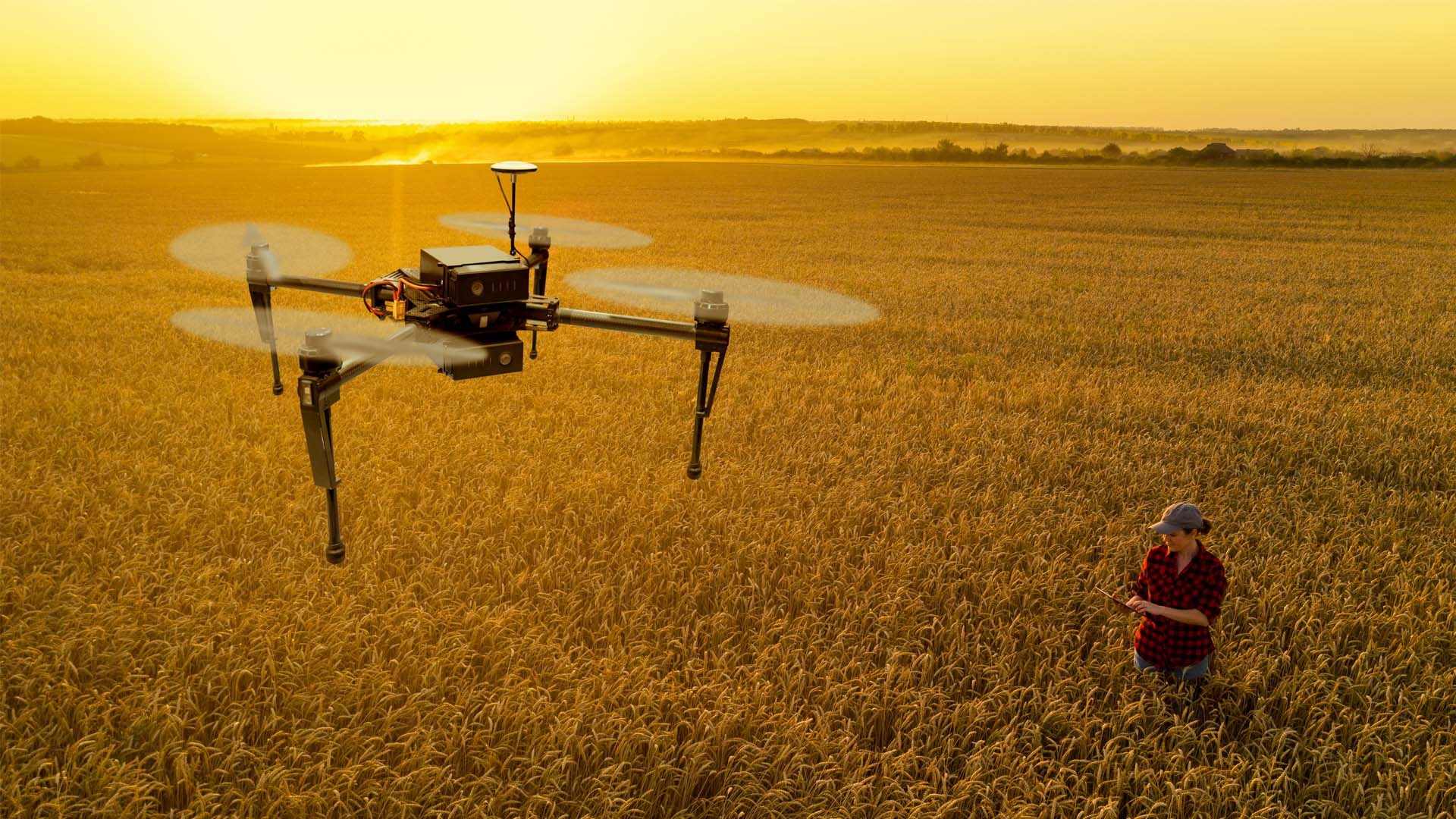 A woman in a plaid shirt stands in a wheat field operating a drone at sunset. 