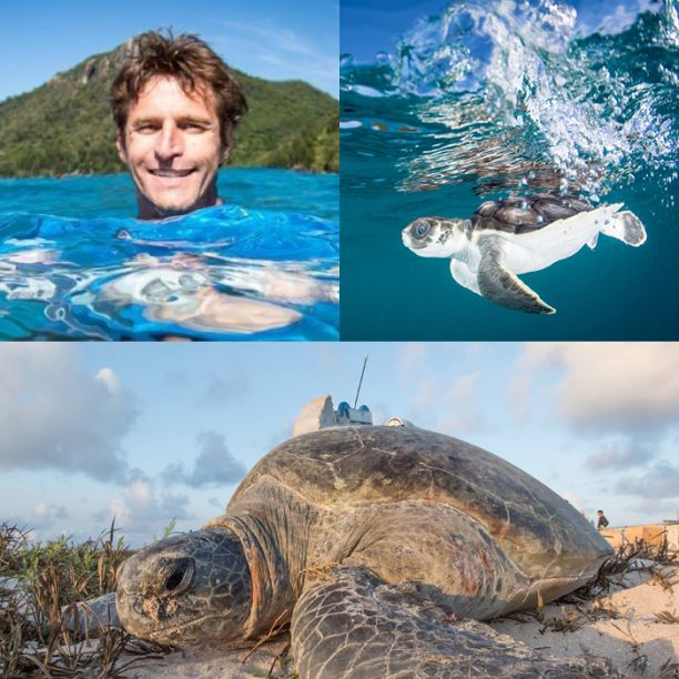 Researchers profile picture