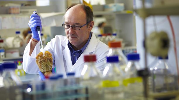 Andreas Lopata, a lecturer within JCU's Bachelor of Biomedical Sciences, stands in a laboratory holding a pipette and a scientific model. 