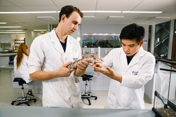 Students inspecting a lizard. 
