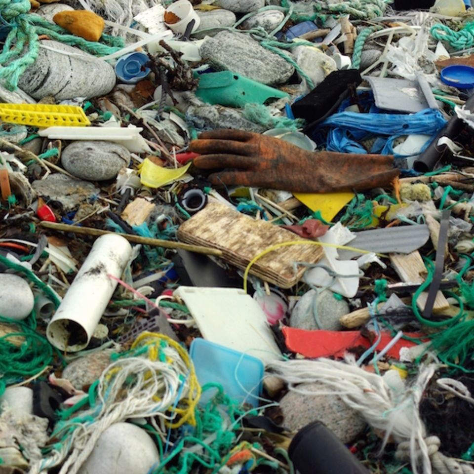 Marine debris recovered during a beach clean-up. 