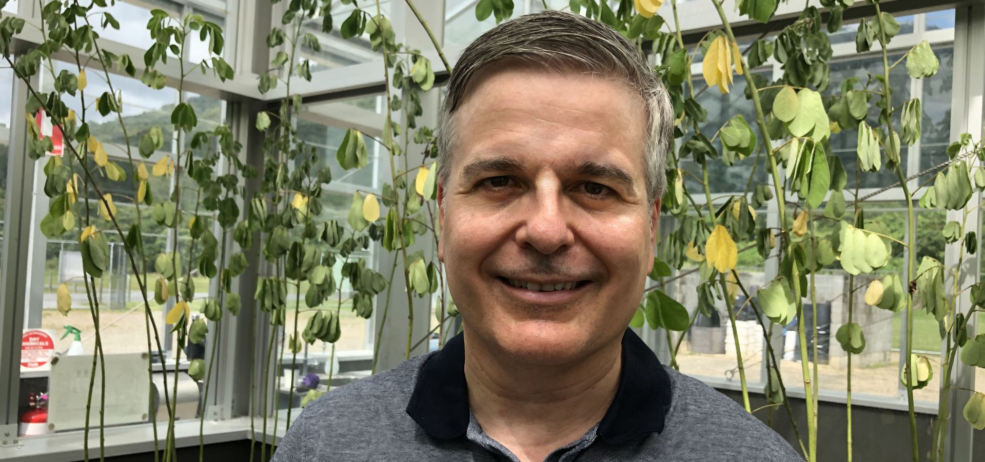 Dr Daniel Montesinos in the glasshouse