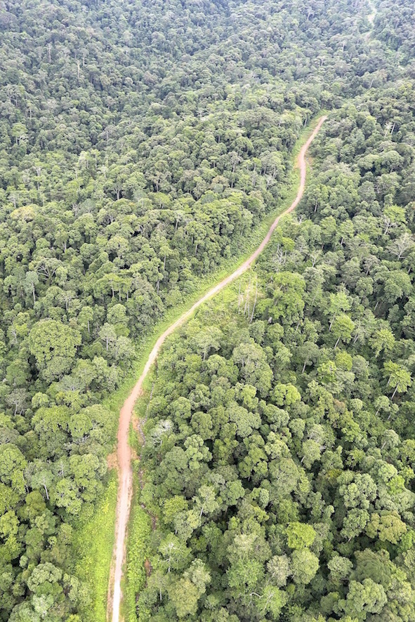Development Corridors