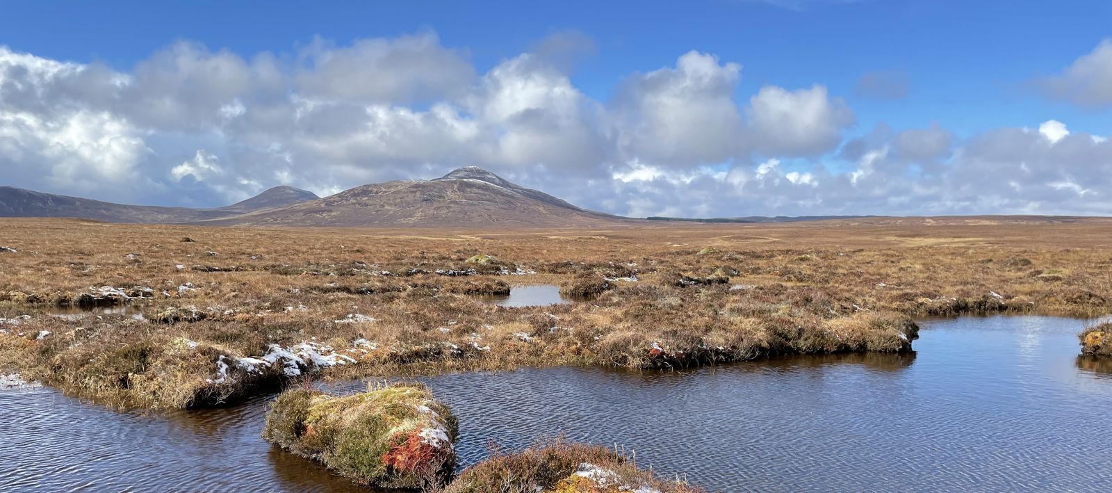 Peat bog on a sunny day