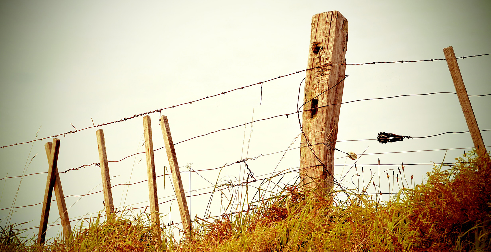 A ramshackle farm fence