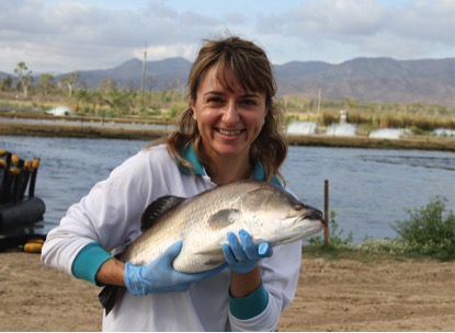 giana gomes