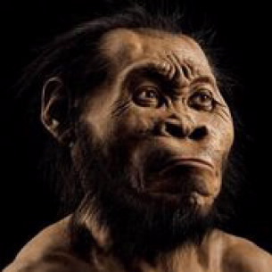 Homo naledi