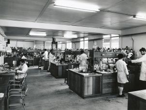 Students in a Chemistry Lab