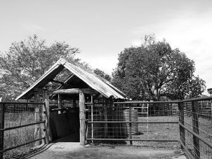 Fletcherview Station