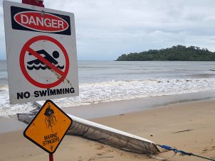Stinger Net on a Cairns Beach