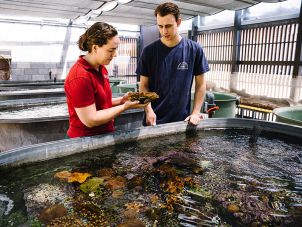 Marine Biology students handing coral
