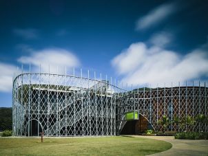 Cairns Institute