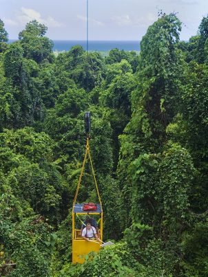 Researchers at the Daintree Rainforest Observatory