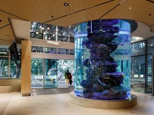The Aquarium at The Science Place
