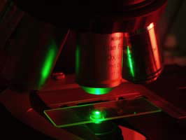  slide under a microscope. 