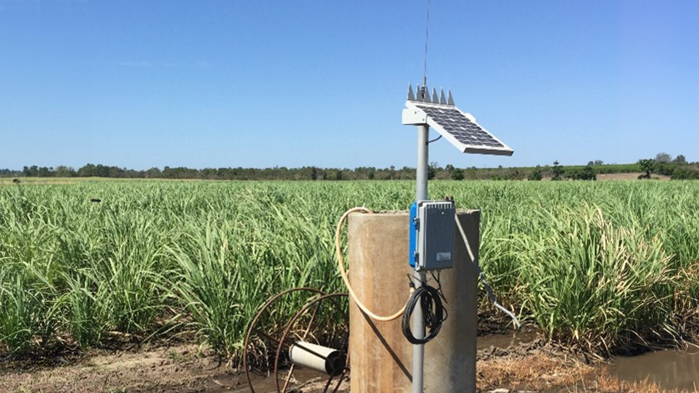 Instrumentation in cane field