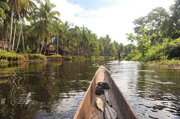 Canoe on the Sepik.