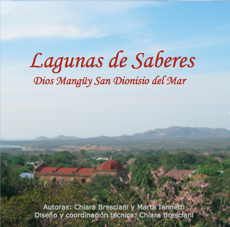 Lagunas de saberes cover.