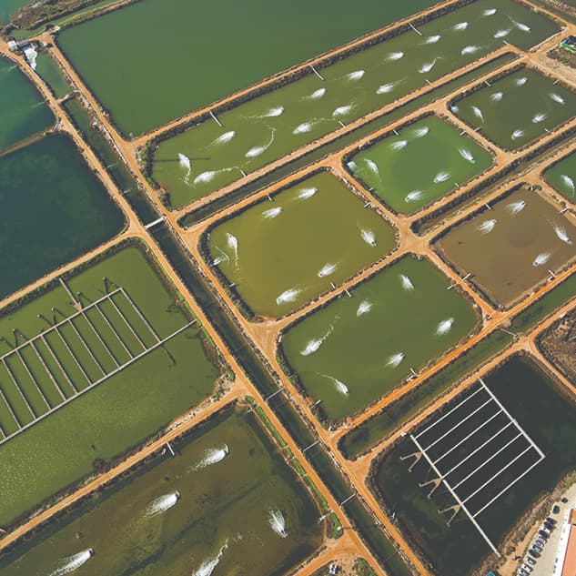 Research ponds. 