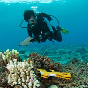 Photo of Grants to boost Queensland’s science engagement