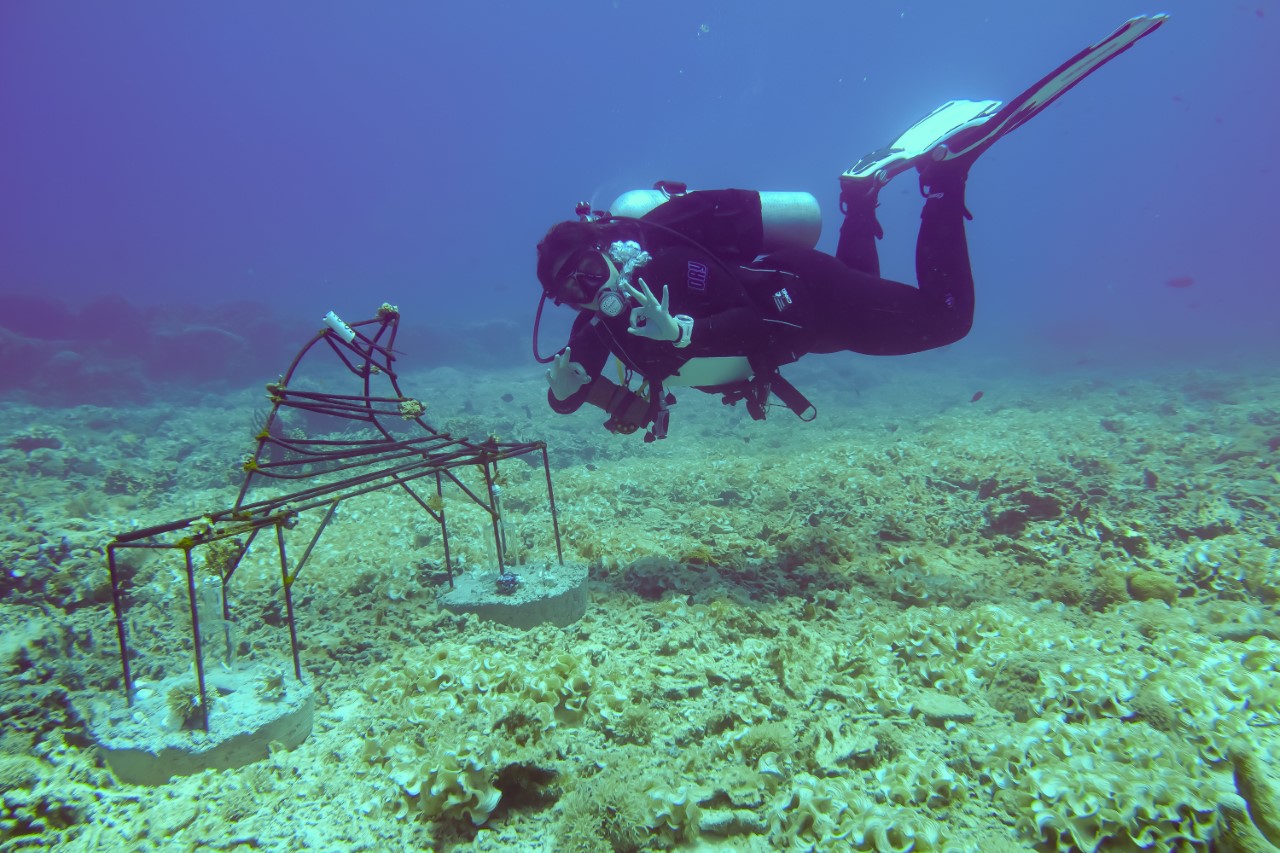 Courtney Burns diving
