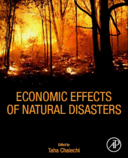 Economic effects of Natural Disasters- Theoretical Foundations, Methods, and Tools, book cover