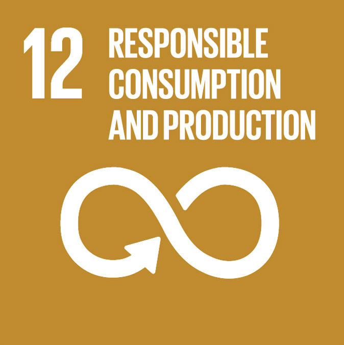 UN Sustainable Development Goal 12 - Responsible consumption and production
