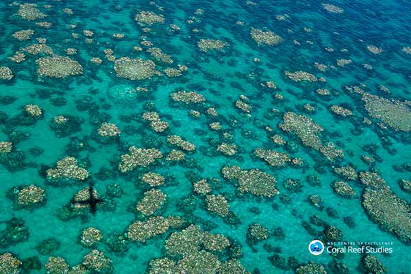 Coral reef aerial view Aerial view of a coral reef