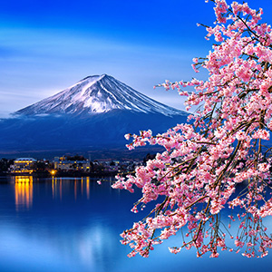 japan. 