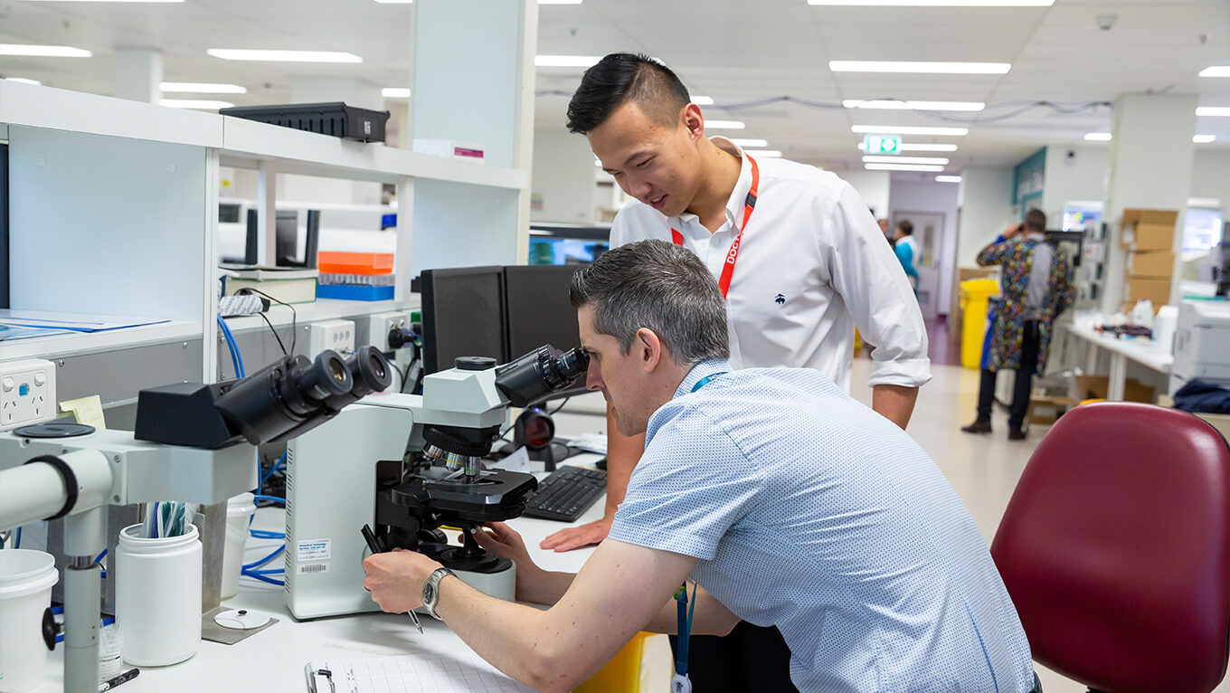 Research students in a laboratory 